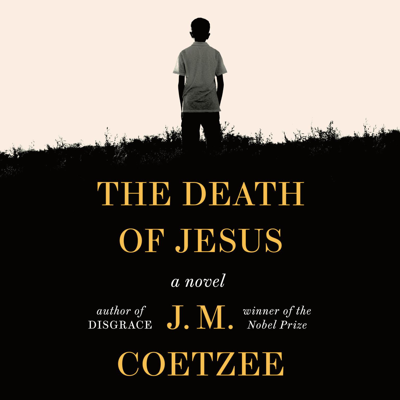 J M Coetzee The Death of Jesus