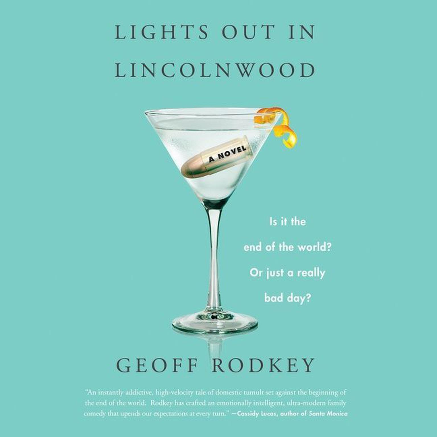 Lights out in Lincolnwood Audiobook Listen Instantly!