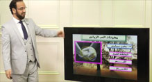 (00:05:56) ثانيا مكون بيولجي (00:05:56) ثانيا مكون بيولجي