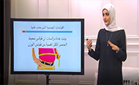 بين السمنة و قياسات الجسم المثالي (00:14:49) بين السمنة و قياسات الجسم المثالي (00:14:49)
