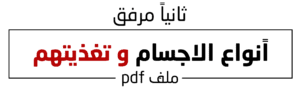 1 (3)