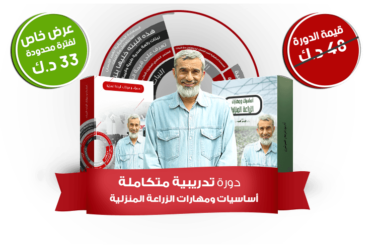 دراسه-الجدوي-6@0,75x (6)