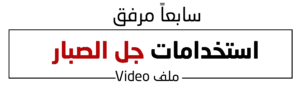 7 (5)