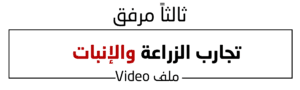 3 (9)