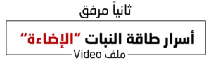 1 (8)