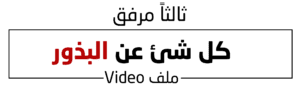 2 (6)