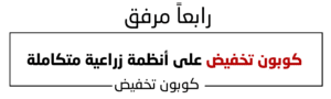 3 (6)