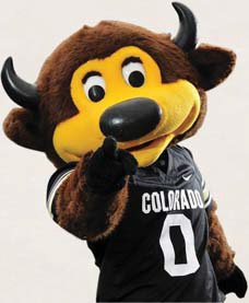no-3-univ-colorado-at-bolder-chip