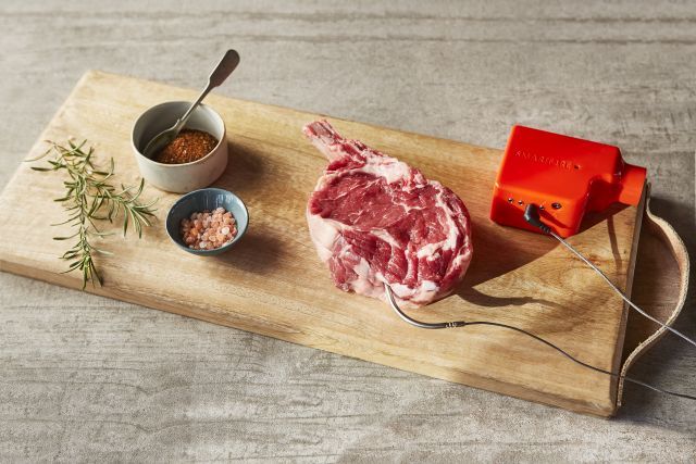 Smartfire BBQ Controller Pro