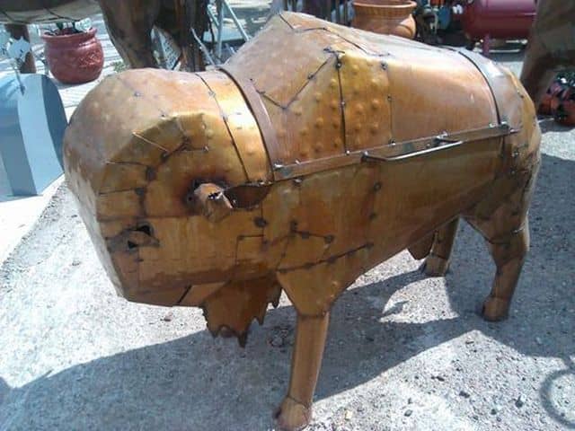 Buffalo