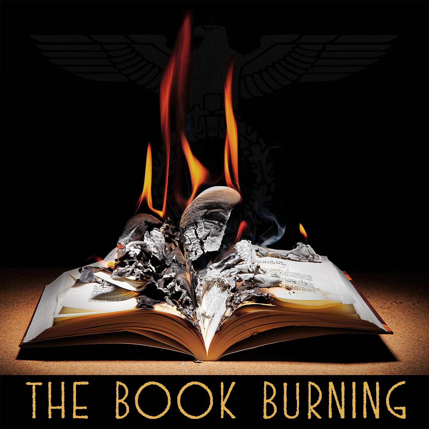 The Book Burning by JD Blackrose