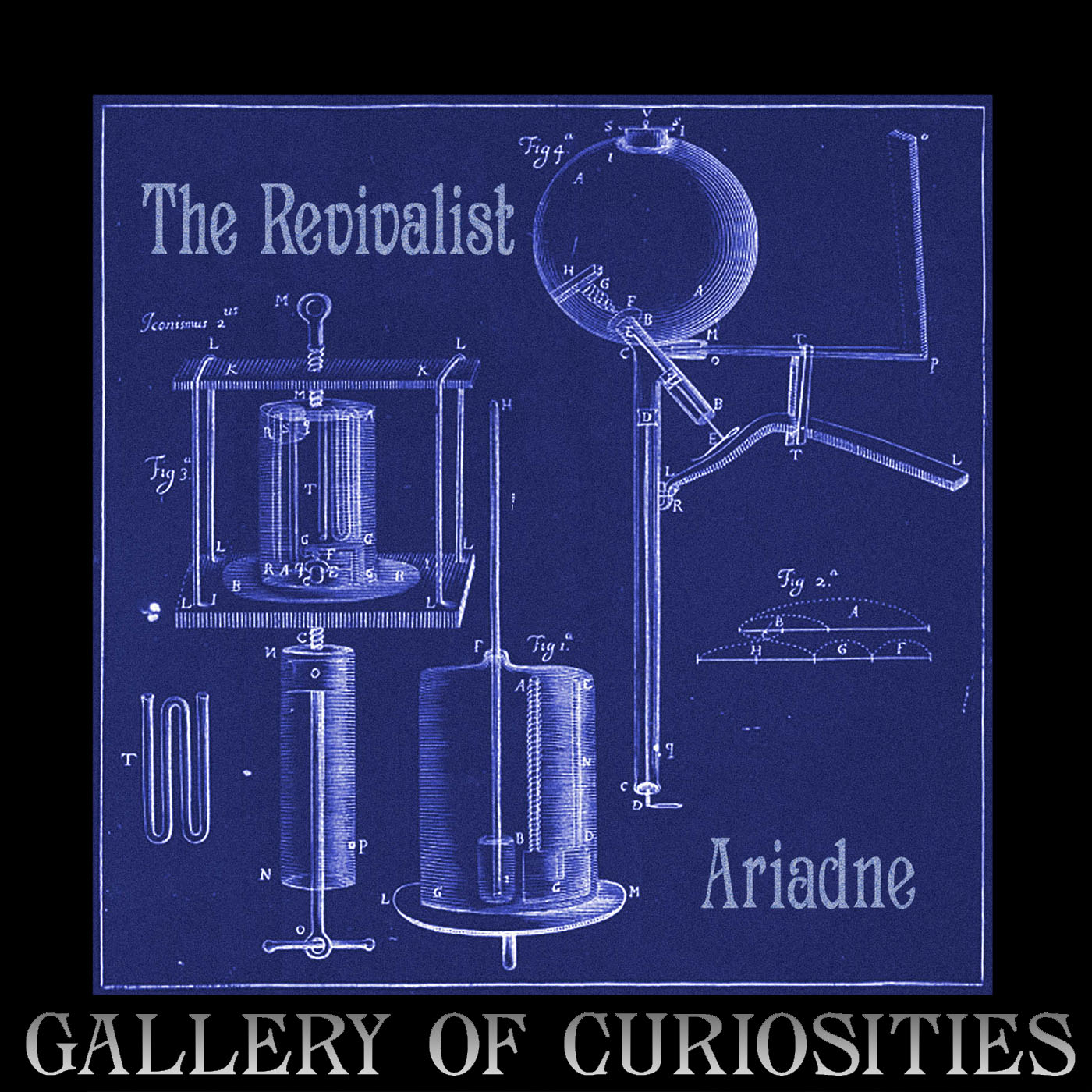 Gallery of Curiosities