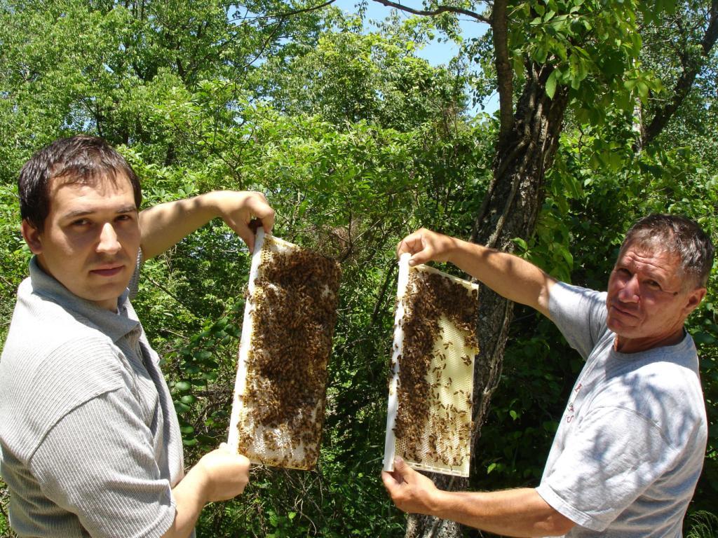 Bee in Beezyness with God