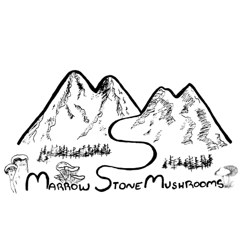 MarrowStoneMushrooms