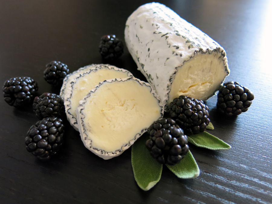 Chaseholm Farm Creamery