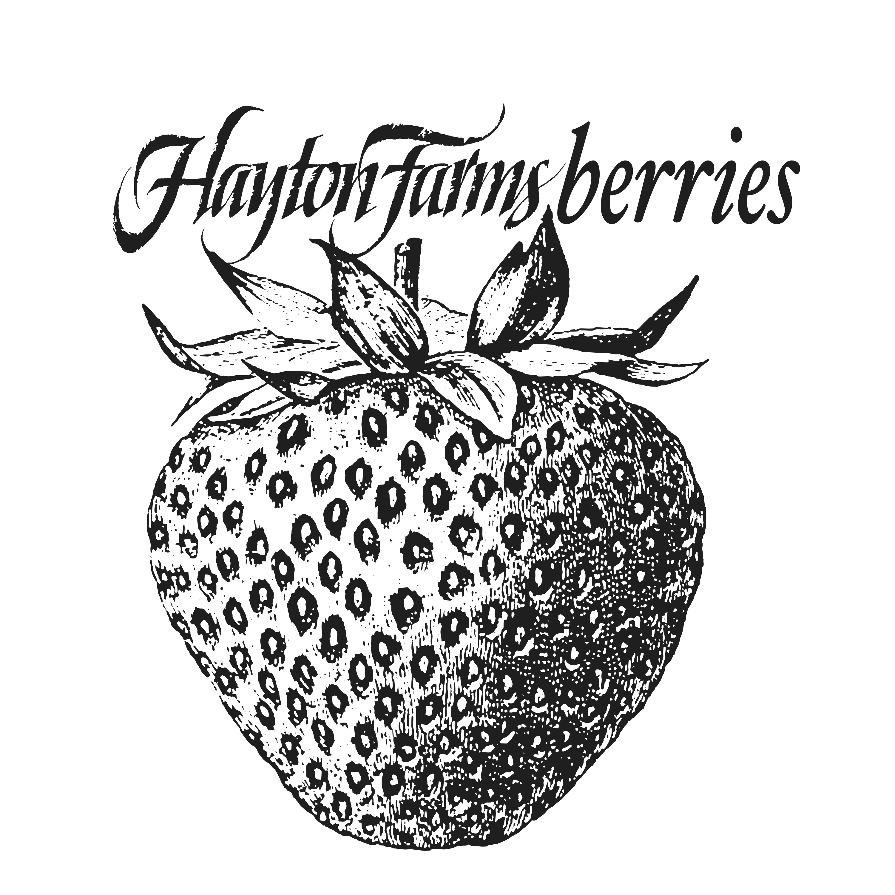 Hayton Farms Berries