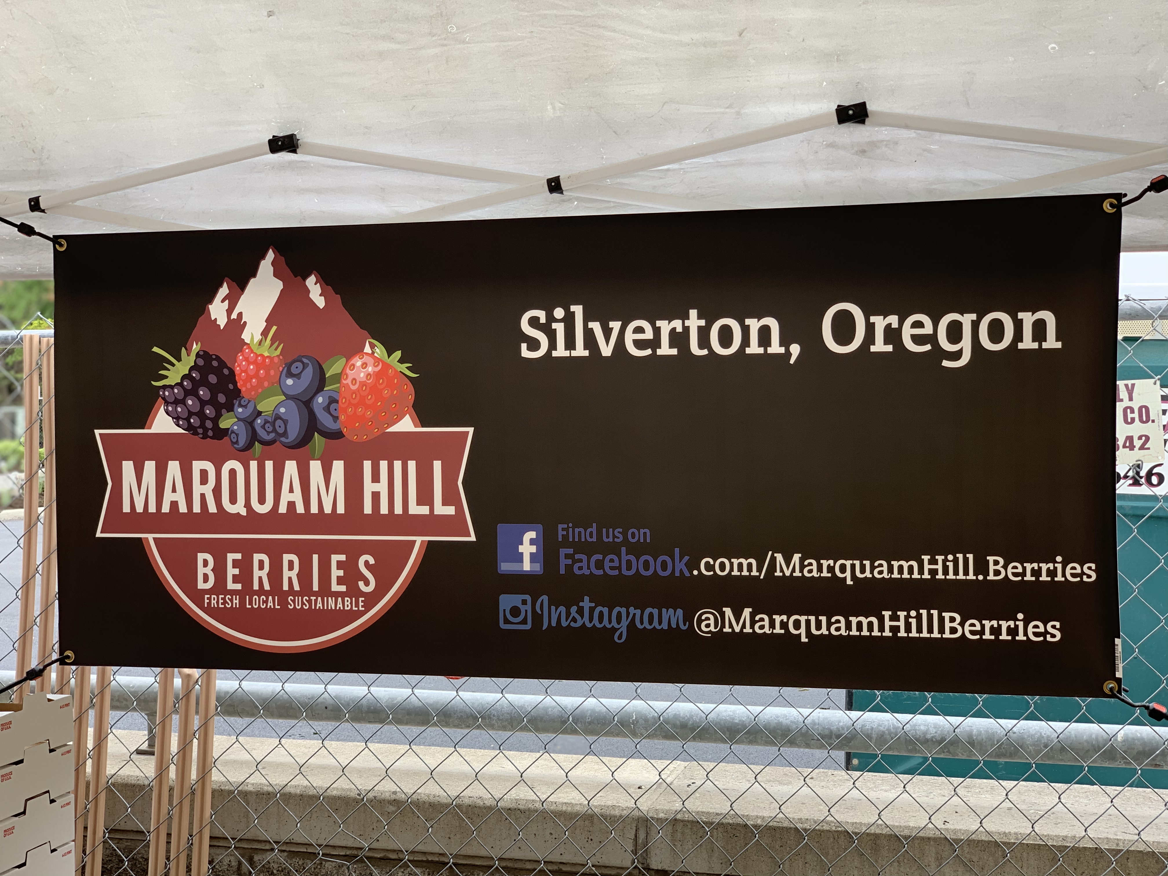 Marquam Hill Berries