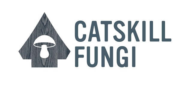 Catskill Fungi