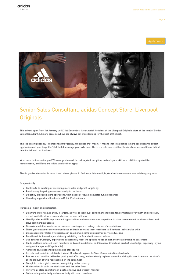 senior sales consultant job description pictures