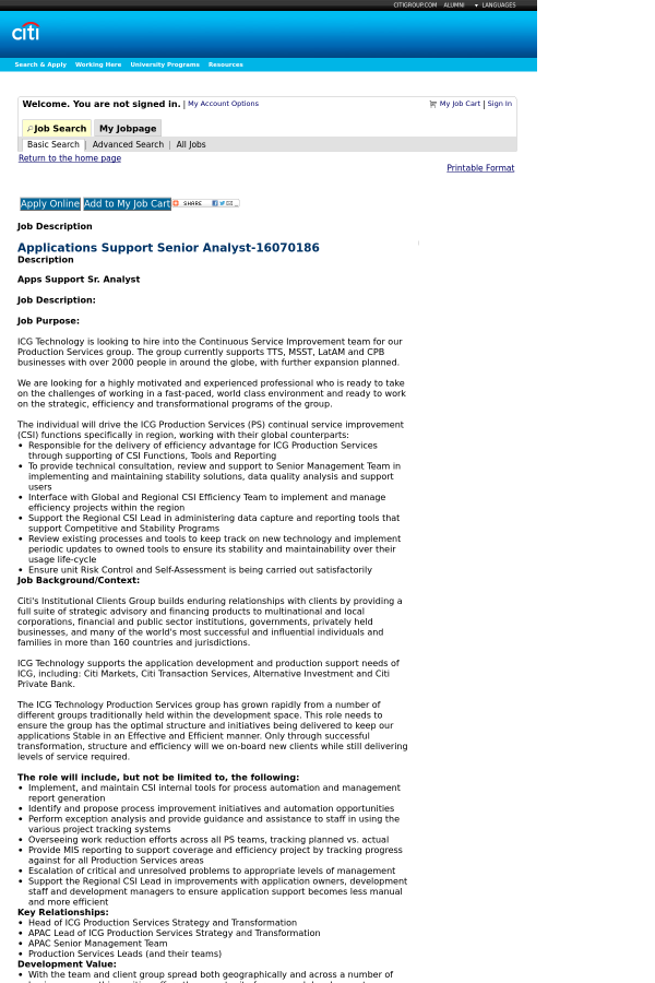 job description for application support