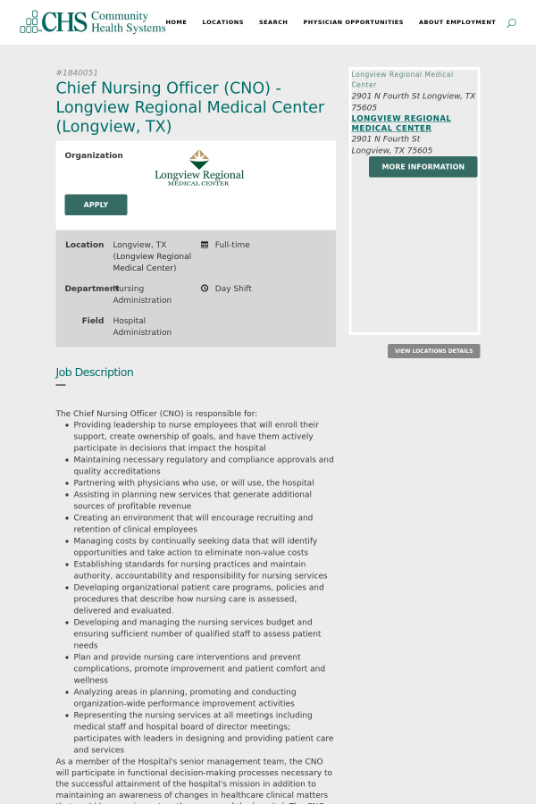 job description the chief nursing officer