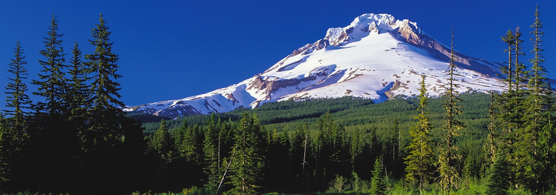Our Stewardship Initiatives: Proudly Oregon