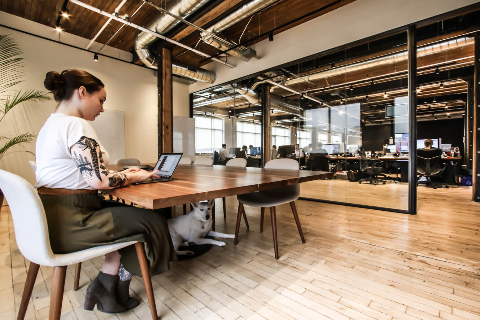 Wealthsimple_Office_KillerSpaces-10