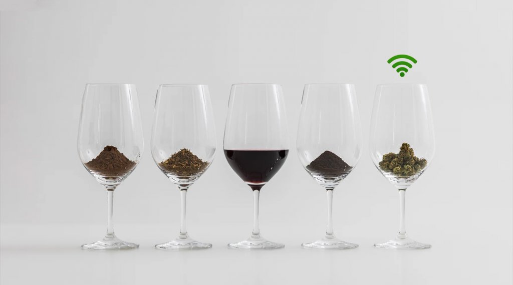 Cannabis