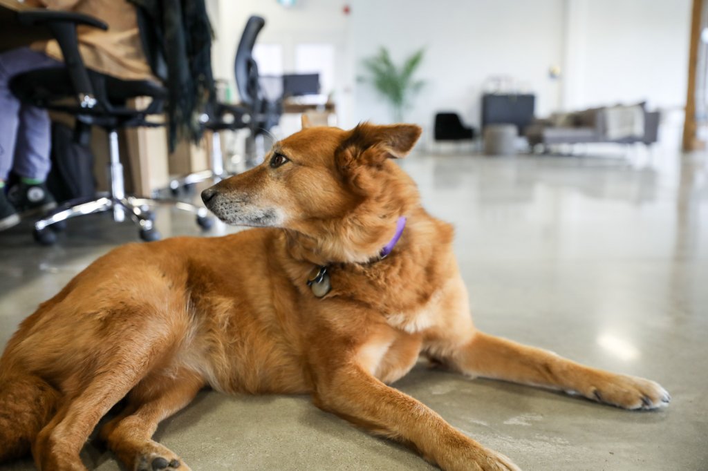 Article-Vancouver-Killer-Spaces-Techvibes-10