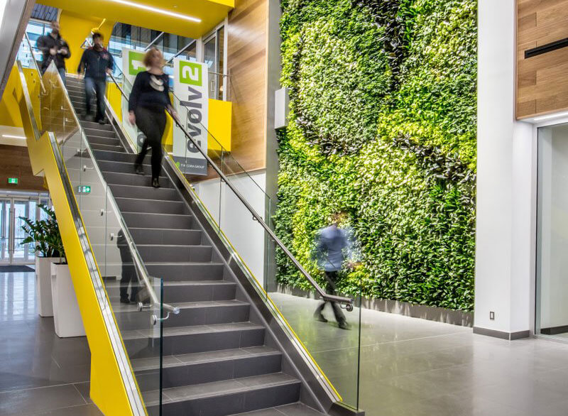 The main staircase and live wall inside the Evolve1 atrium.