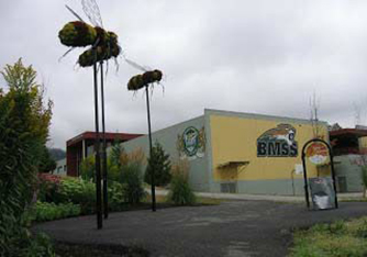 school image