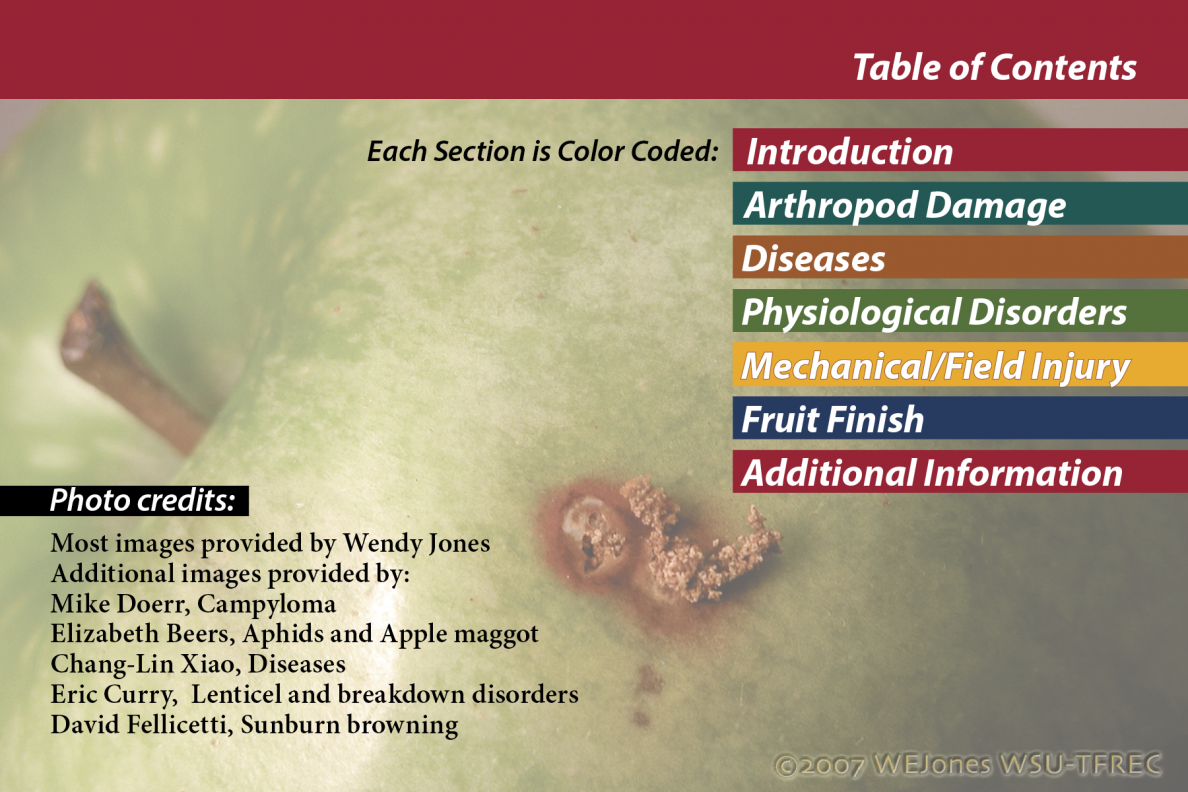 Apple Postharvest Defects & Disorders Quick ID Guide Tree Fruit