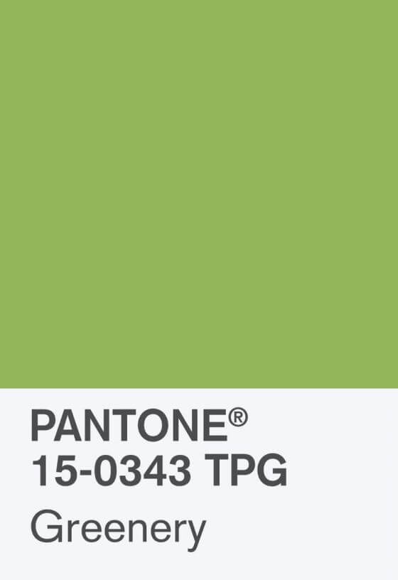 Pantone Coy 2017 Hero Shot Rgb Chip 2 Pantone Coy 2017 Hero Shot Rgb Chip 2