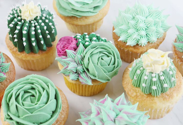 Sweet Vanilla Succulent Cupcake Decorating Tutorial ... Sweet Vanilla Succulent Cupcake Decorating Tutorial