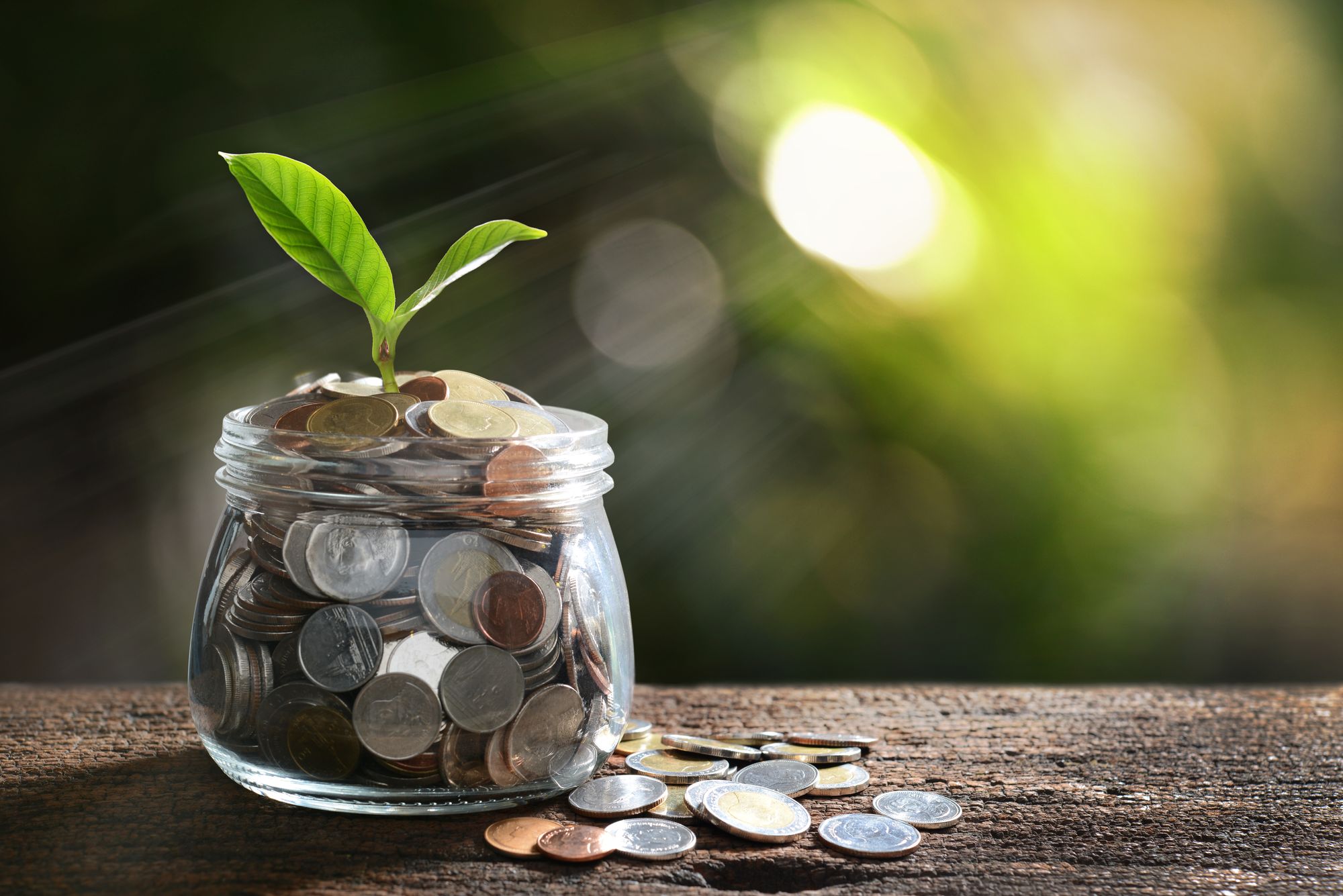 5 Investments Every Growing Business Makes to Save Money Long-Term