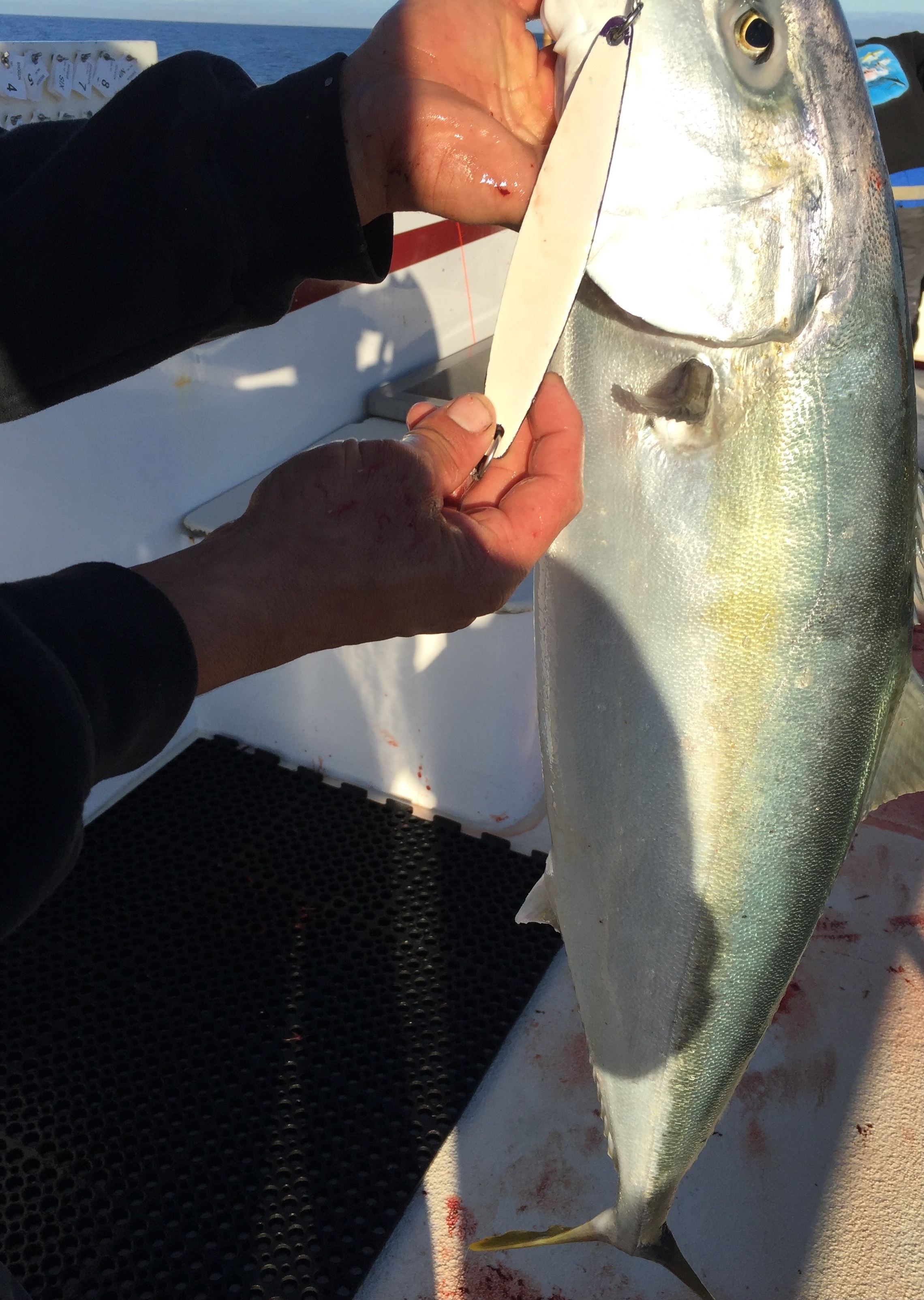 Alumiglow Epoxy Glow Paint Kits For Fishing Jigs and Lures eBay