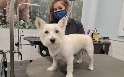 Wash & Blow Dry