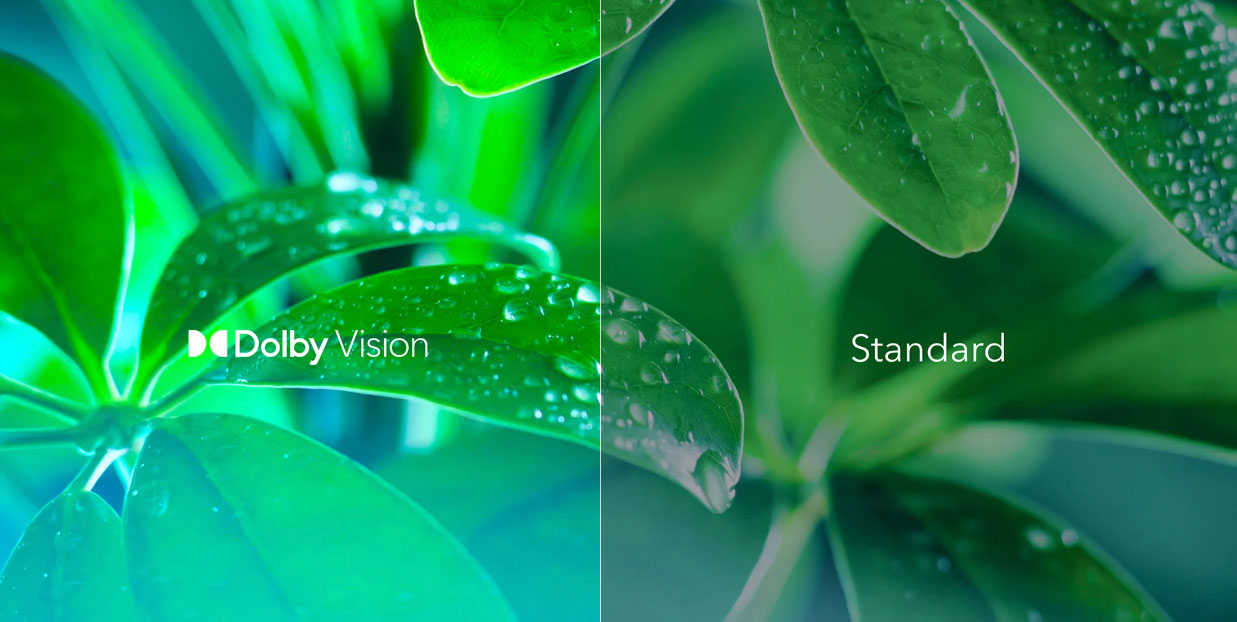 Dolby Vision compared to standard picture