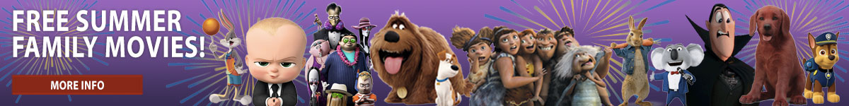 asics roadhawk ff 2 mens