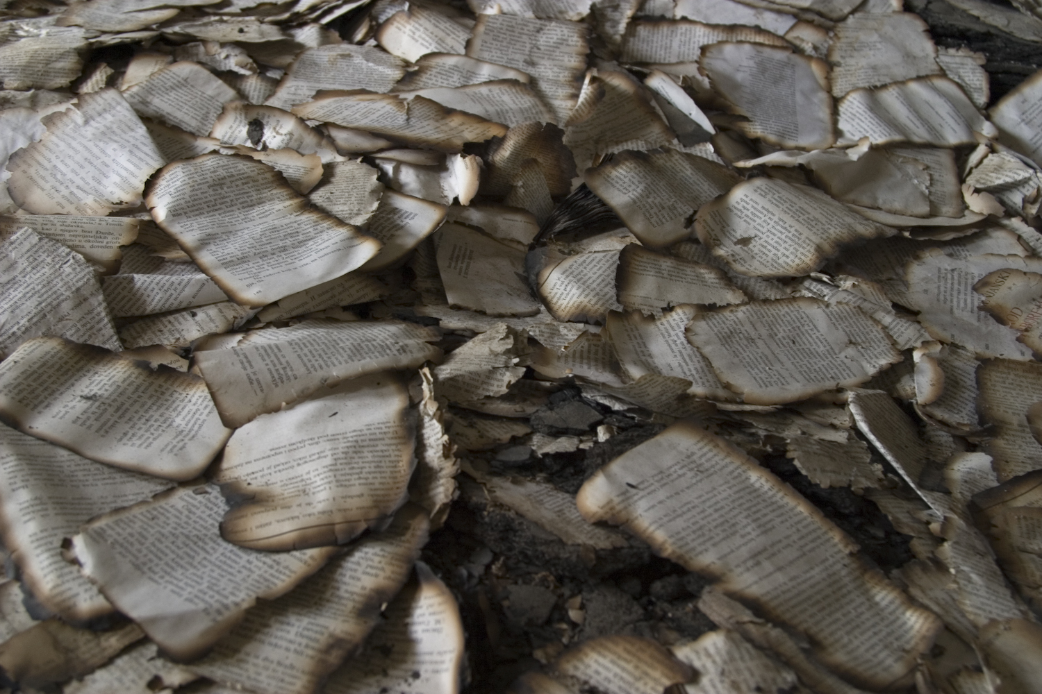 07_burnt_books.jpg