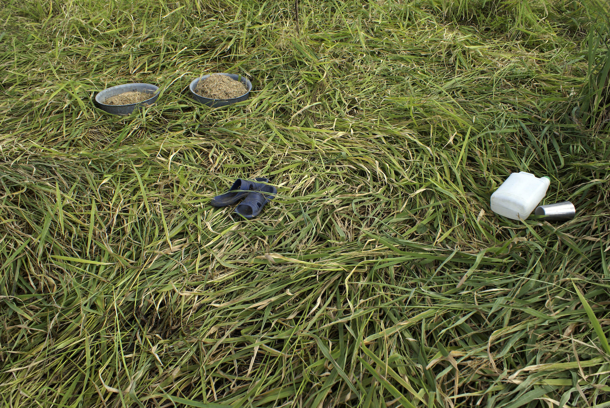 SCHENKMAN_HAITI_1.jpg SCHENKMAN_HAITI_1.jpg