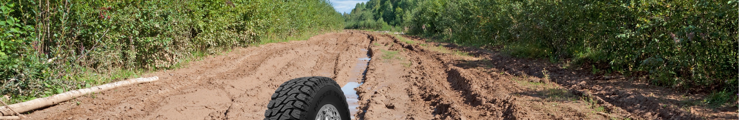 Mickley Thompson tires