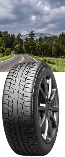BF Goodrich Advantage T/A Sport