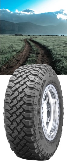 Falken Wildpeak M/T01