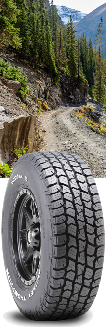 Mickey Thompson Deegan 38 - All-Terrain