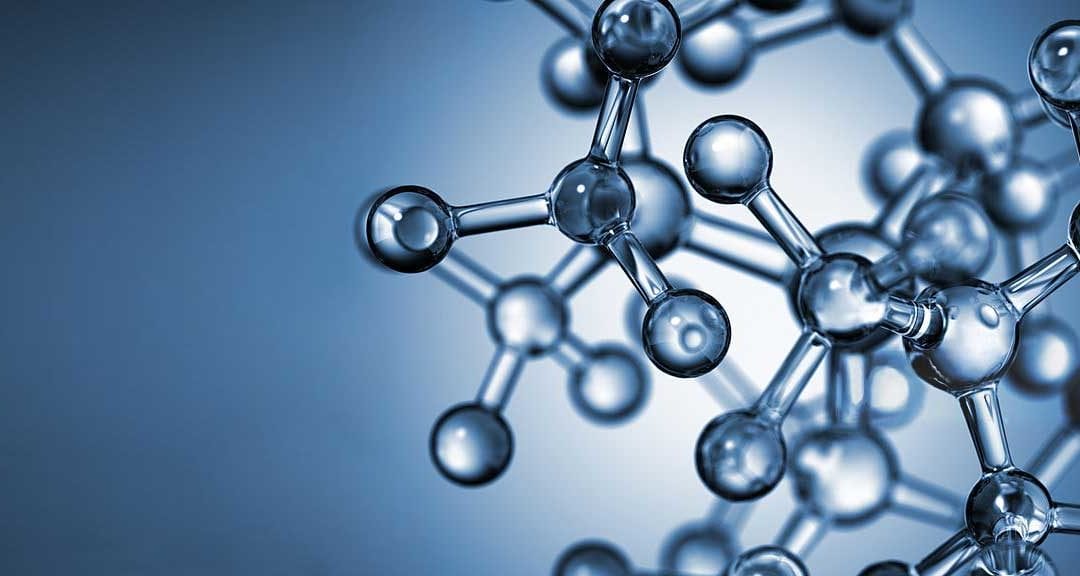 What are BCAAs?