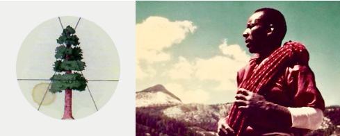 Buddy And the Tree.jpg