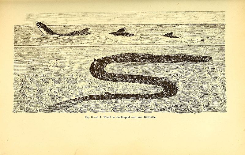 File:The great sea-serpent (Page 55) BHL41617297.jpg