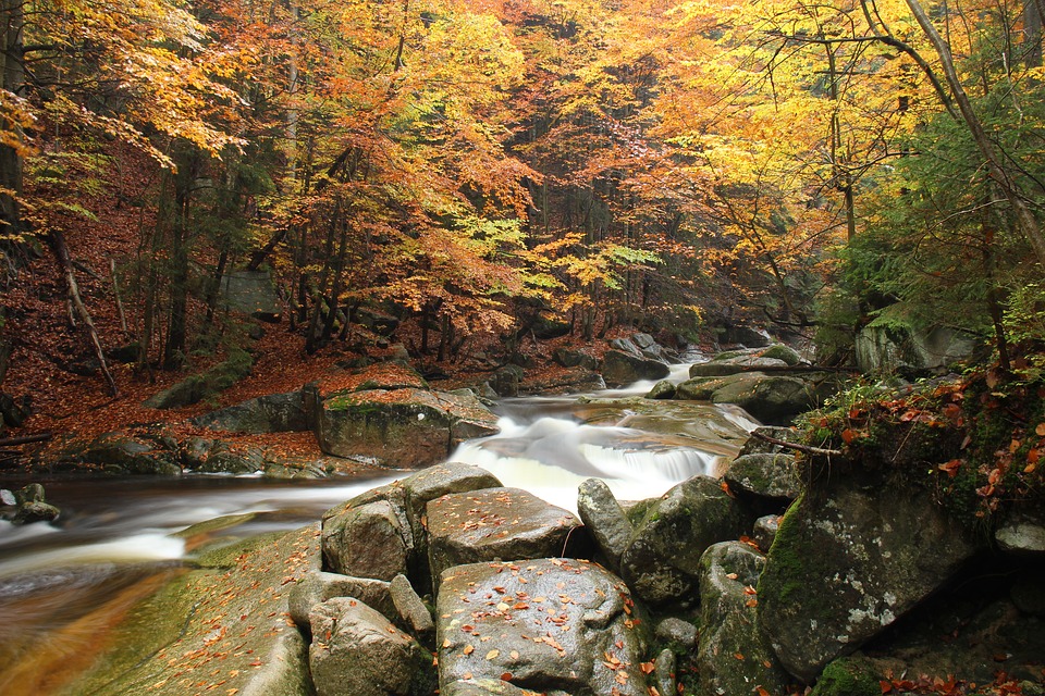 Mumlava, River, Nature, The Giant Mountains, Stones