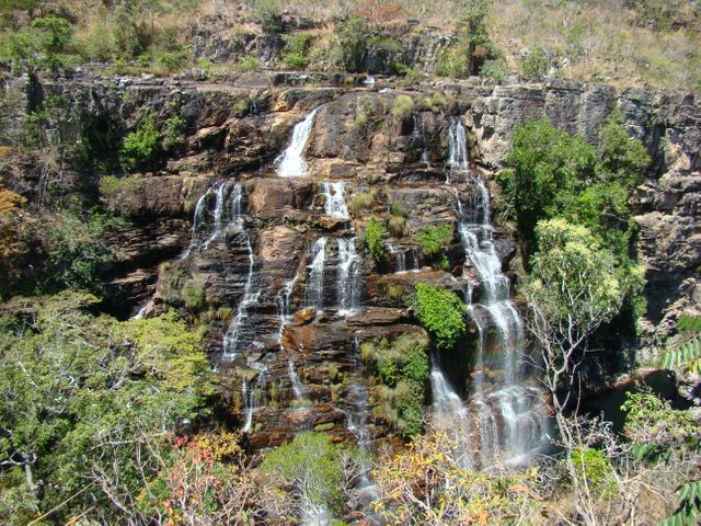 Cerrado Protected Areas: Chapada dos Veadeiros and Emas National Parks